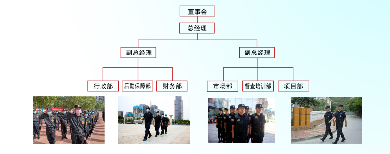 组织机构.jpg